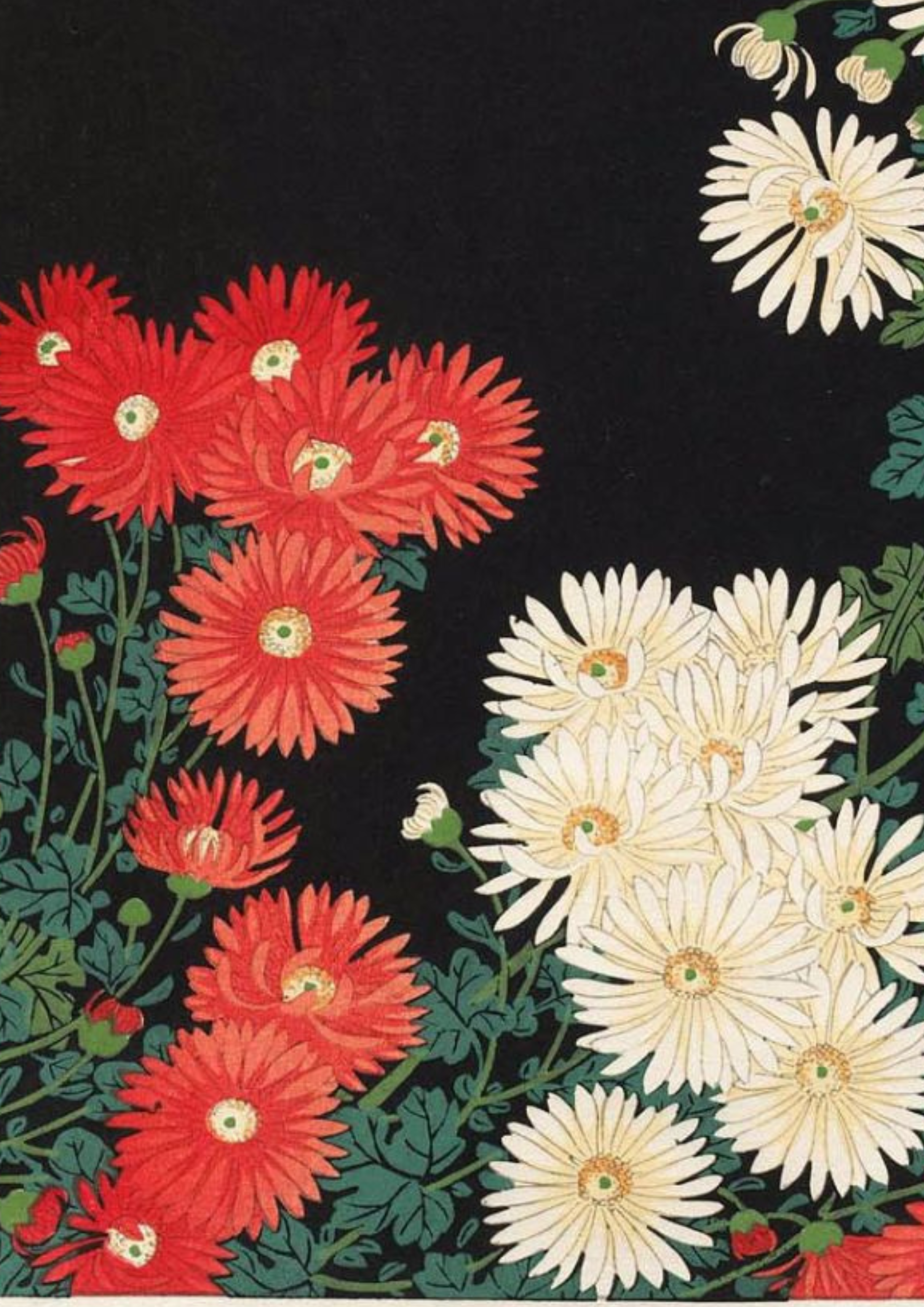 Floral artwork